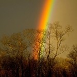 What Is This Mystery Lifestreaming Site?