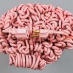 Harnessing the Power of the Quantified Self through the Feedback Loop